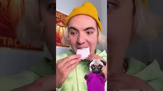 COTTON CANDY TEETH THATS NEW 🦷😉 funnyanimals cottoncandy reaction dog [upl. by Edd]