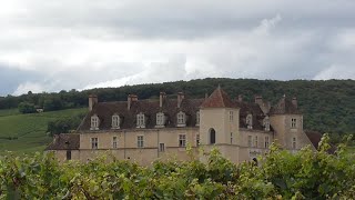 2024 Clos de Vougeot [upl. by Yerdna39]