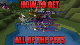 How To Get All Of The Pets  Hypixel SkyBlock [upl. by Newman]