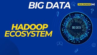 Hadoop Ecosystems in Big Data  True Engineer [upl. by Ahsikrats]