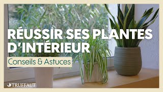 Réussir lentretien des plantes dintérieur  Truffaut [upl. by Dominus]