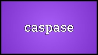 Caspase Meaning [upl. by Marala]