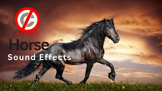 Horse sound effect no copyright  Horse whinnying  Horse neighing huffs puffs and galloping [upl. by Bethesde]