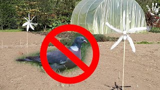 Une éolienne pour éloigner les oiseaux [upl. by Gladys]