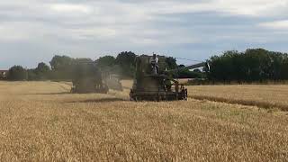 1960s combines working at Little Ellingham working event [upl. by Kori]