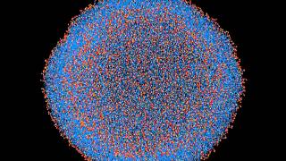 Forming liposomes from bicelles [upl. by Ness]