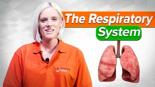 The Respiratory System  First Aid Training Ep7 2022 [upl. by Adnilim695]