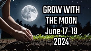 The BEST Moon Gardening Schedule in 2024 June 1719 [upl. by Moreno278]