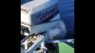 Johnson 8hp outboard [upl. by Endaira]