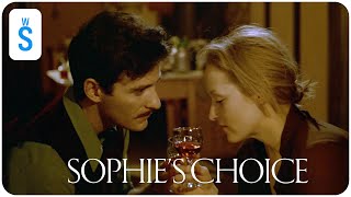 Sophies Choice 1982  Scene Nathan first met Sophie [upl. by Petuu]