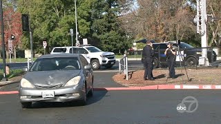 2 dogs 1 pedestrian dead after being hit by separate cars in Rohnert Park police say [upl. by Fante594]