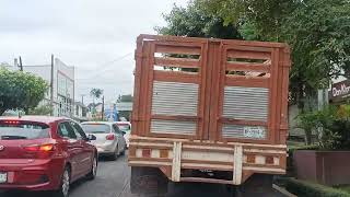 Calle Bolivia Ruiz Cortines Avila Camacho Clavijero Octubre 2024 [upl. by Dempsey]