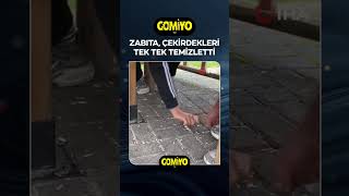 Zabıta tek tek temizletti [upl. by Aisayt]