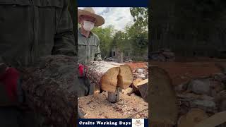 Process Of Splitting Wood With A Cracking  Expert Man And Machinery Can Improve Work Efficiency [upl. by Arracot]