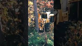 Ultimate Forest Harvesting Machine Beast 17  Extreme Dangerous Big Chainsaw Cutting Tree Machines [upl. by Gilpin]