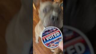 Frank Says “Go Vote” 🗳️ Today is Election Day WA SlowDownMoveOver Vote ElectionDay Election [upl. by Fitting]