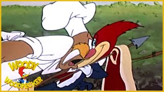 Woody Woodpecker  The Dippy Diplomat  Woody Woodpecker Full Episode Old Cartoon Videos for Kids [upl. by Valiant]