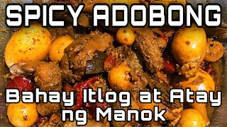 HOW TO COOK quotSPICY ADOBONG BAHAY ITLOGAN AT ATAY NG MANOKquot [upl. by Ormsby]