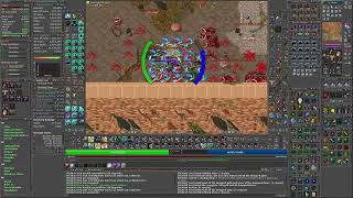 Tibia  Upper Roshamuul Surface  Solo Paladin RP lvl844  7kk raw  12kk Profit  no sound [upl. by Adnotal]