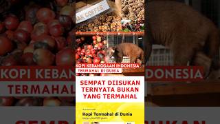 BARU Kopi Bakri Lebih Mahal dari Kopi Luwak kopi kopiluwak kopitermahal [upl. by Siol427]