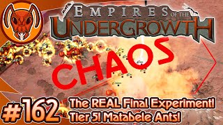 Tier 5 Matabele Ants The REAL Final Experiment  Empires of the Undergrowth  Part 162 [upl. by Palm]