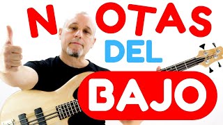 ✅ Notas del Bajo  Notas del Bajo de 4 cuerdas  Cómo aprender las notas del Bajo  TODAS [upl. by Ahsikcin]