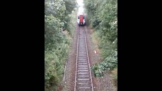 Class 197 passing under camera  walestrainspotting class197 train transportforwales cymru gb [upl. by Notrom]