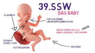 39 SSW  Die 39Schwangerschaftswoche von Babycloud [upl. by Tripp291]