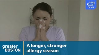 Why is this years allergy season so bad Experts weigh in [upl. by Grous]