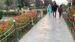 Mughal Garden Srinagar [upl. by Silyhp]