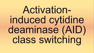 ActivationInduced Cytidine Deaminase Class Switching Pronunciation [upl. by Holmes]