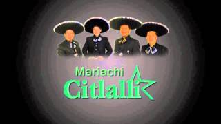 Misa Mariachi New York Gloria 914 9121497 [upl. by Anile]