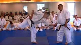 Nariyama Shihan  Teaching Kote Gaeshi 4 amp Sakai Sensei demonstrating [upl. by Elga]