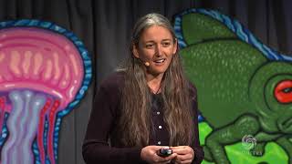 Monica Gagliano  Plant Intelligence and the Importance of Imagination In Science  Bioneers [upl. by Ahtanaram]