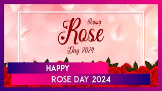 Happy Rose Day 2024 Greetings Wishes WhatsApp Messages And Images To Celebrate Valentine Week [upl. by Nadean]