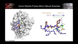 Matt Bogyos 20240320 Antiviral Drug Discovery AViDD Open Science Forum Talk [upl. by Trela557]