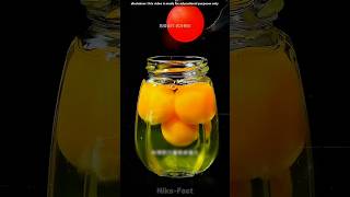 🤯 Shocking Science Tricks shorts science [upl. by Ardnued]