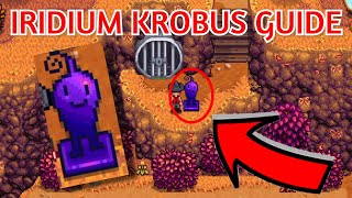 HOW to GET IRIDIUM KROBUS  Stardew Valley NEW 15 Update [upl. by Aliemaj]