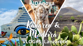 AIDAnova  Kanaren und Madeira  VLOG5 Lanzarote [upl. by Bernard]