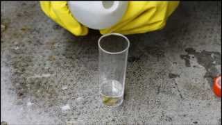 Saltingout of sodium chloride by adding of hydrochloric acid [upl. by Aneba]