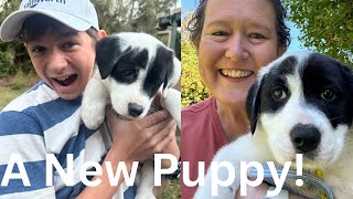 We Got a Puppy [upl. by Pulsifer]