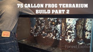 75 GALLON FROG TERRARIUM BUILD PART 2 [upl. by Anahsed]