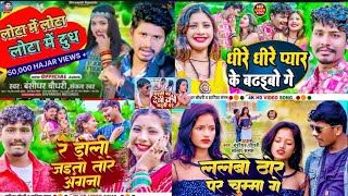 Bansidhar Chaudhary Ka Gana Nonstop 5 New song 2024 ke [upl. by Elimay]