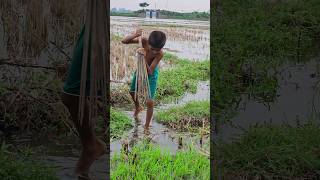 😲Unique Koch Fishing Method In Village kochfishing ikan pêche nature [upl. by Ennael]