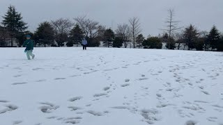 2024 February Tokyo Snow at Nakagawa Park [upl. by Ennaxor]