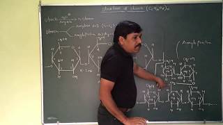 Structure Of Amylose and Amylopectin Starch [upl. by Anayi]