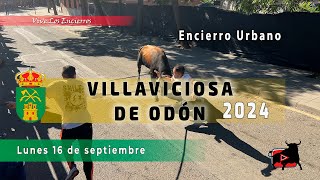 EMOCIONANTE ENCIERRO VILLAVICIOSA de ODÓN  16092024 [upl. by Moraj]