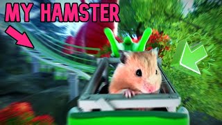 Hamster takes on cute Dragon ROLLER COASTER 🐹 [upl. by Shum]