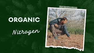 Organic Nitrogen  Regenerative [upl. by Anastasie]