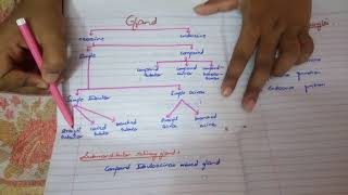 Shortest syllabus to PASS HISTOLOGY paper written pages by me MUST WATCH [upl. by Xad]